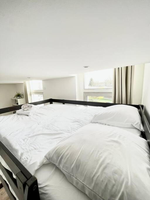 Rome - Studio Meuble A Reims Appartement Buitenkant foto